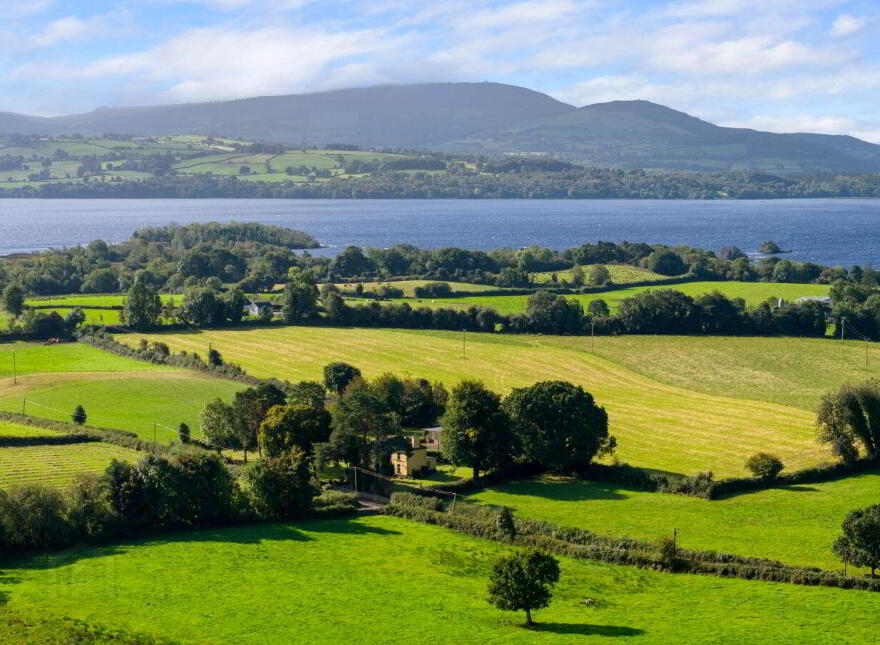 Meelick, Whitegate