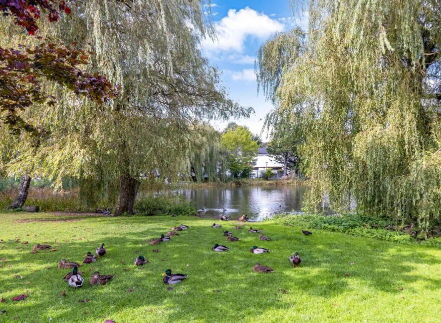 15 Lakeside Walk, Monaghan Town, H18DV22