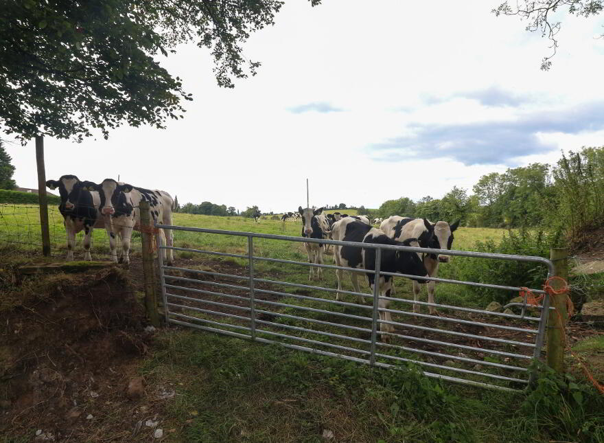 Crievehill Rd, Fivemiletown, BT75 0ST