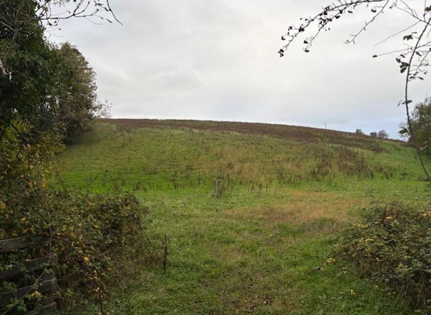 Drumcoo, Tydavnet
