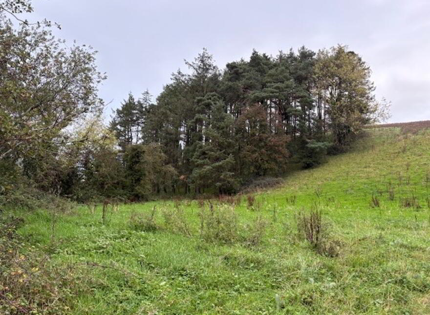 Drumcoo, Tydavnet