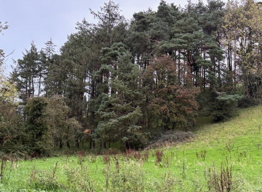 Drumcoo, Tydavnet