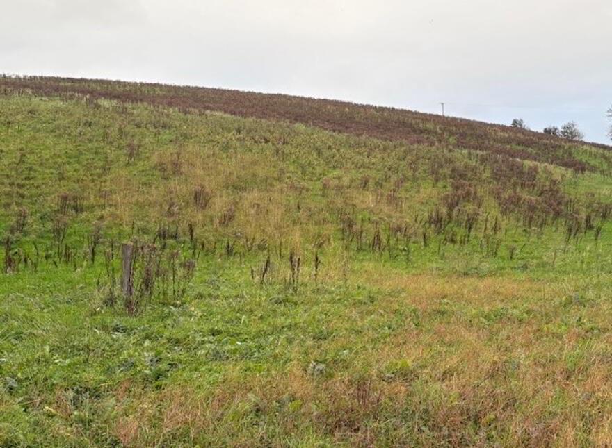 Drumcoo, Tydavnet