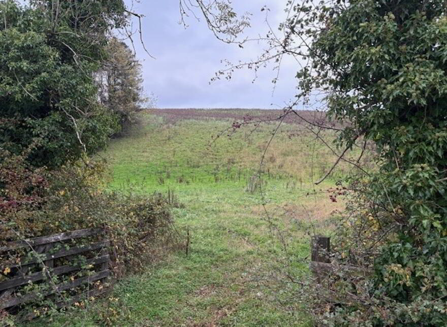 Drumcoo, Tydavnet