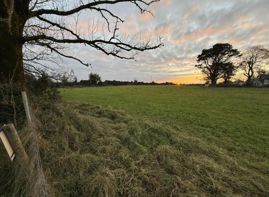 Ballinlass, Dunmore