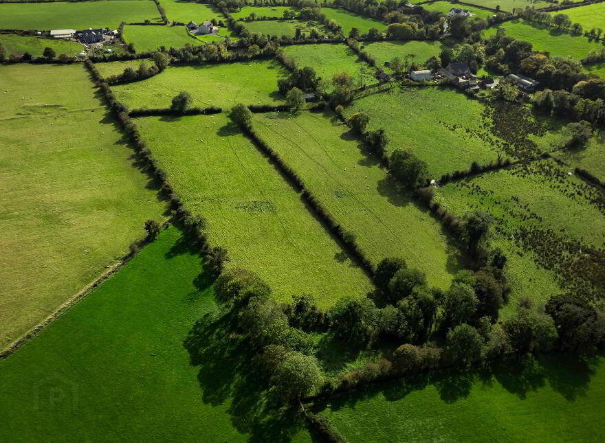 Lands At Fort Road, Dromara, Dromore, BT25 2ET