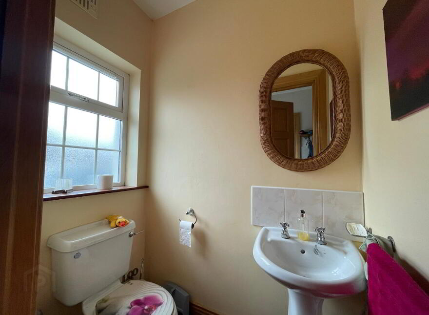 Cloonshanville, Frenchpark, Castlerea, F45C638