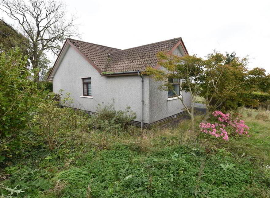 Bungalow & C.11 Acres, 124 Moneyreagh Road, Moneyreagh, Newtownards, BT23 6BH