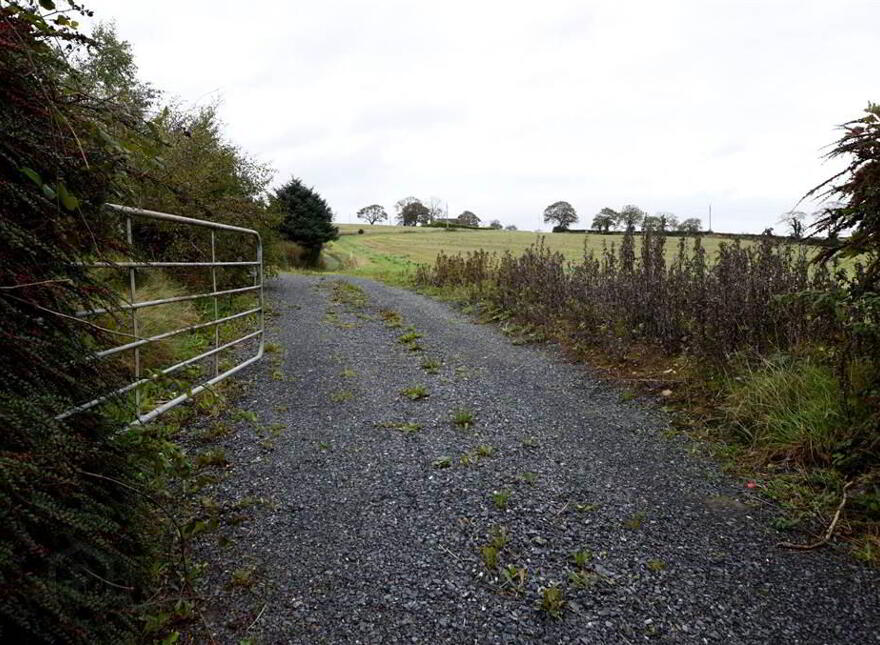 Bungalow & C.11 Acres, 124 Moneyreagh Road, Moneyreagh, Newtownards, BT23 6BH