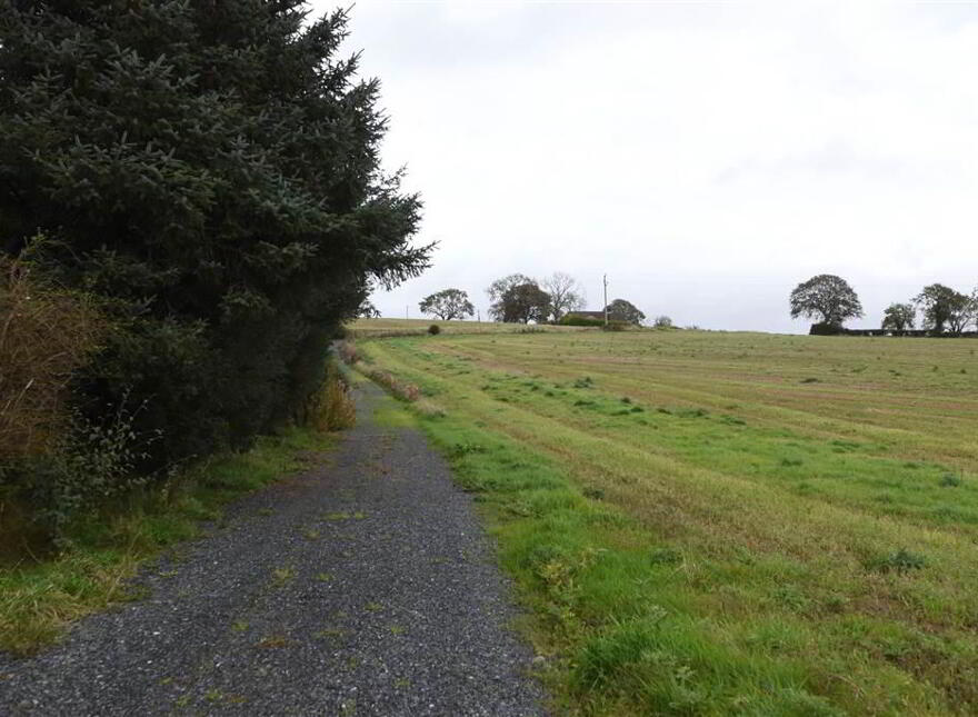 Bungalow & C.11 Acres, 124 Moneyreagh Road, Moneyreagh, Newtownards, BT23 6BH