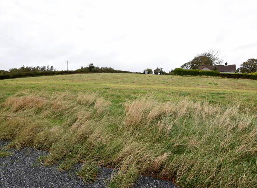 Bungalow & C.11 Acres, 124 Moneyreagh Road, Moneyreagh, Newtownards, BT23 6BH