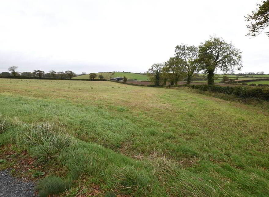 Bungalow & C.11 Acres, 124 Moneyreagh Road, Moneyreagh, Newtownards, BT23 6BH
