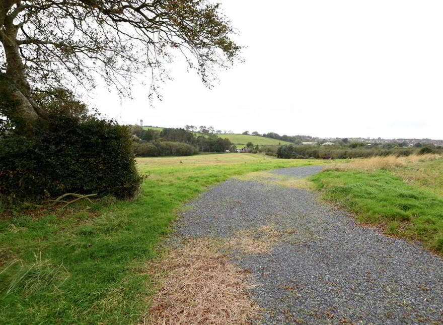 Bungalow & C.11 Acres, 124 Moneyreagh Road, Moneyreagh, Newtownards, BT23 6BH