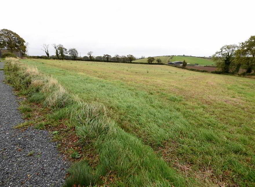 Bungalow & C.11 Acres, 124 Moneyreagh Road, Moneyreagh, Newtownards, BT23 6BH
