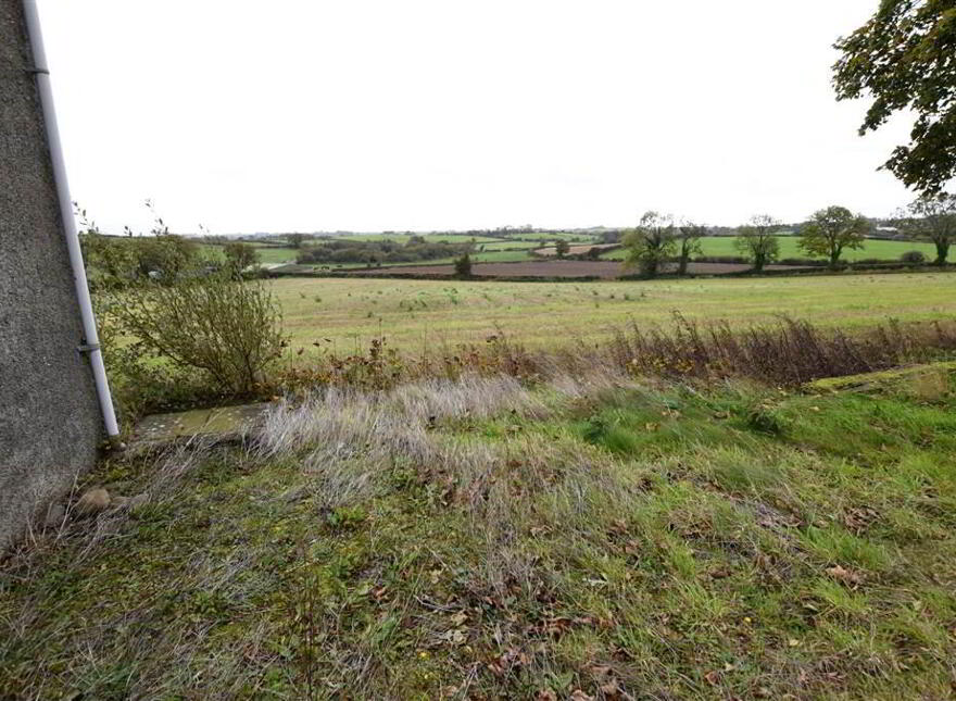 Bungalow & C.11 Acres, 124 Moneyreagh Road, Moneyreagh, Newtownards, BT23 6BH