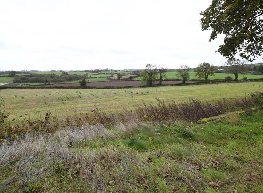 Bungalow & C.11 Acres, 124 Moneyreagh Road, Moneyreagh, Newtownards, BT23 6BH