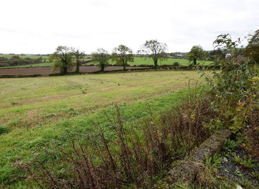 Bungalow & C.11 Acres, 124 Moneyreagh Road, Moneyreagh, Newtownards, BT23 6BH