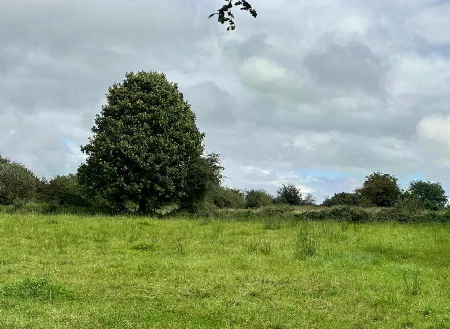 Attishane, Ballyhaunis, Cloonfad