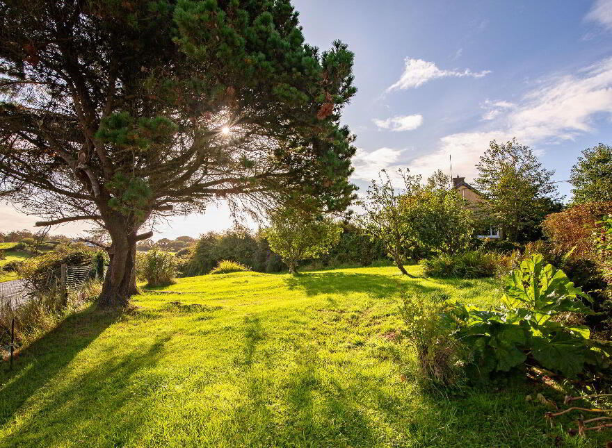 Windrush, Lecarrow, Strandhill, F91X765