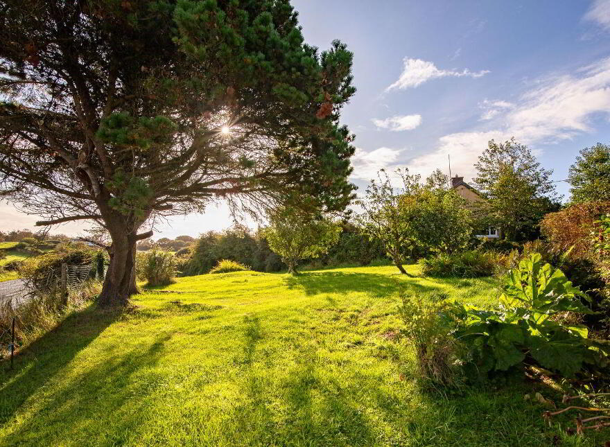 Windrush, Lecarrow, Strandhill, F91X765