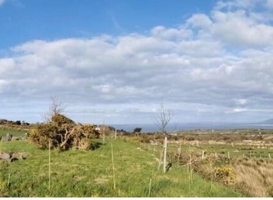 Farraigi Gorm, Teer, Ballyquin, Ballyquin, V92V348