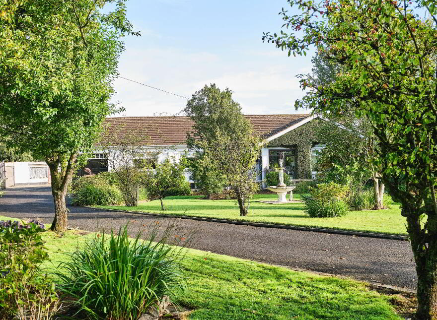 South Creek, 56 Frosses Road, Ballymoney, BT53 7HN