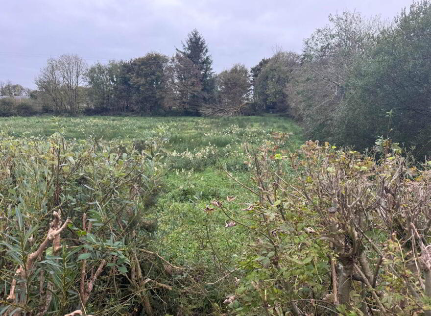 Carrowmore, Knock