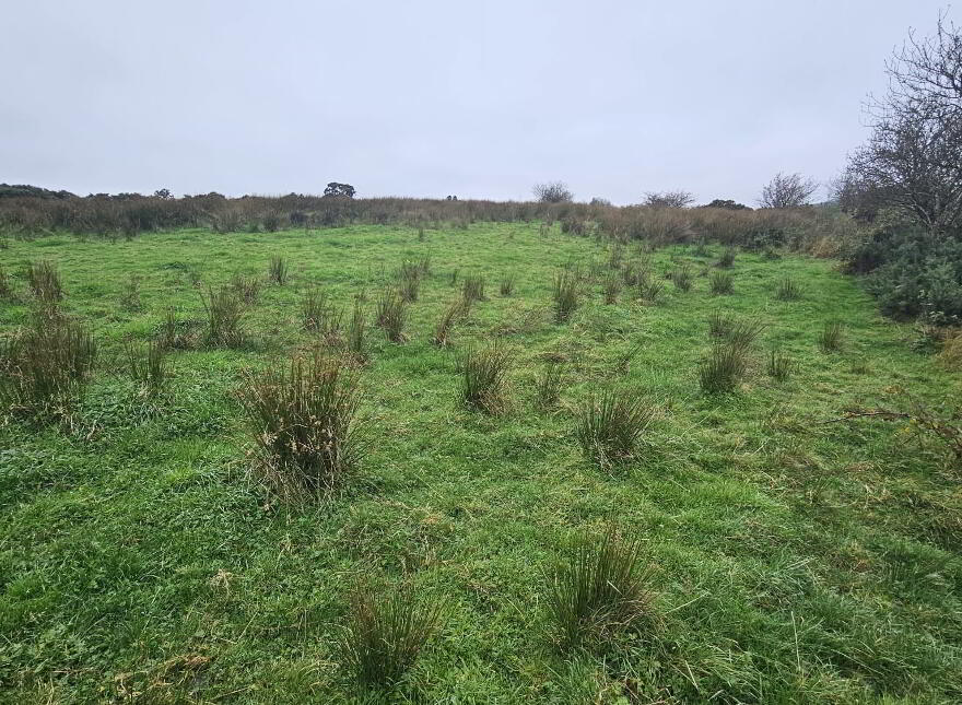 Shantonagh Road, Fivemiletown, BT75 0TS