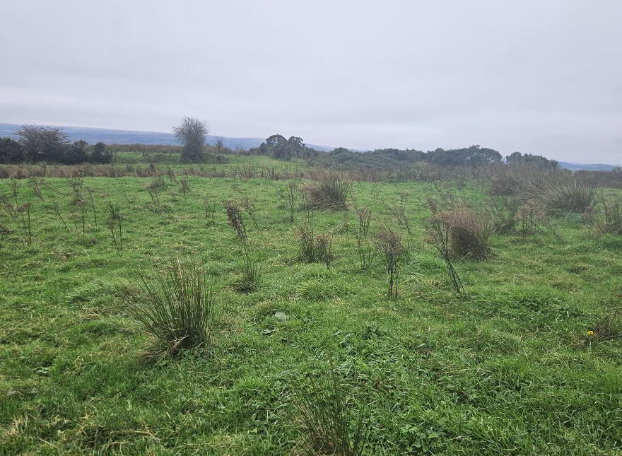 Shantonagh Road, Fivemiletown, BT75 0TS