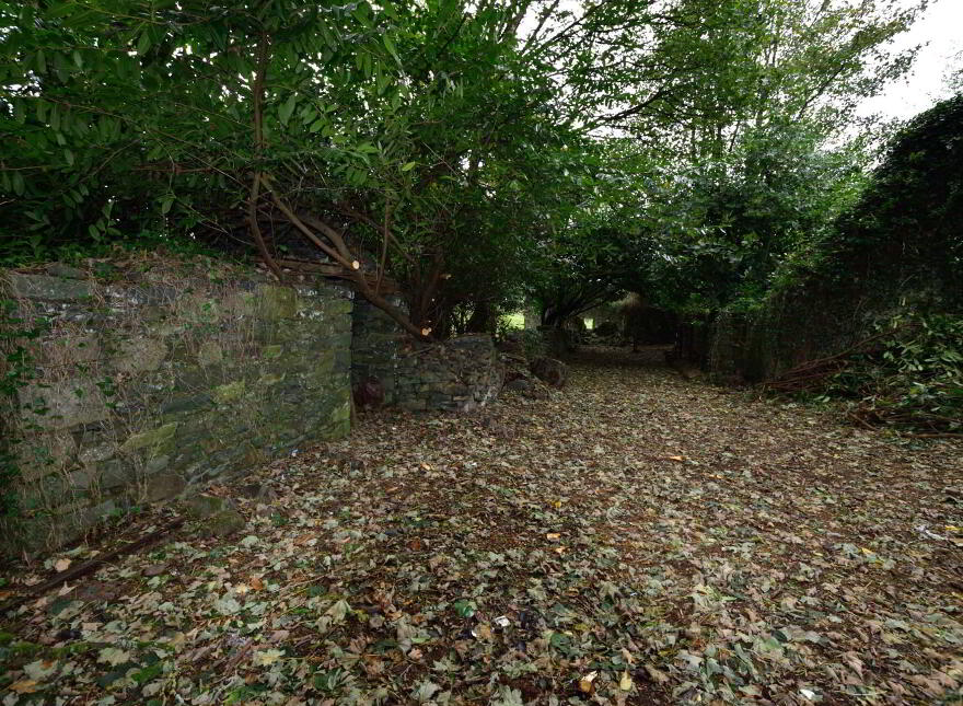Lot 2 : Derelict Building Raffony & Land, Raffony, Virginia