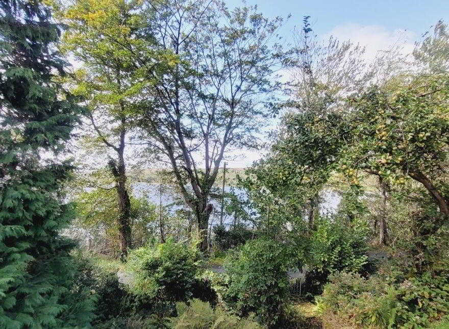 Lakeside Cottage Corrigeencor, Dromahair, F91CY54