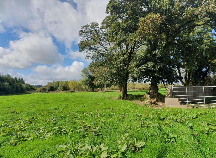 Barnagarrane, Dromcollogher