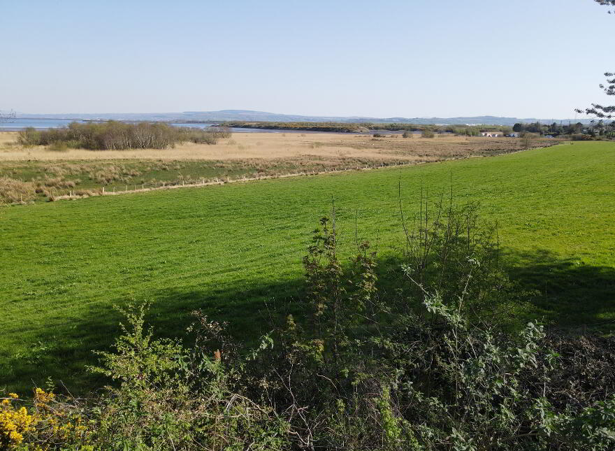 Kilderry Lane, Muff