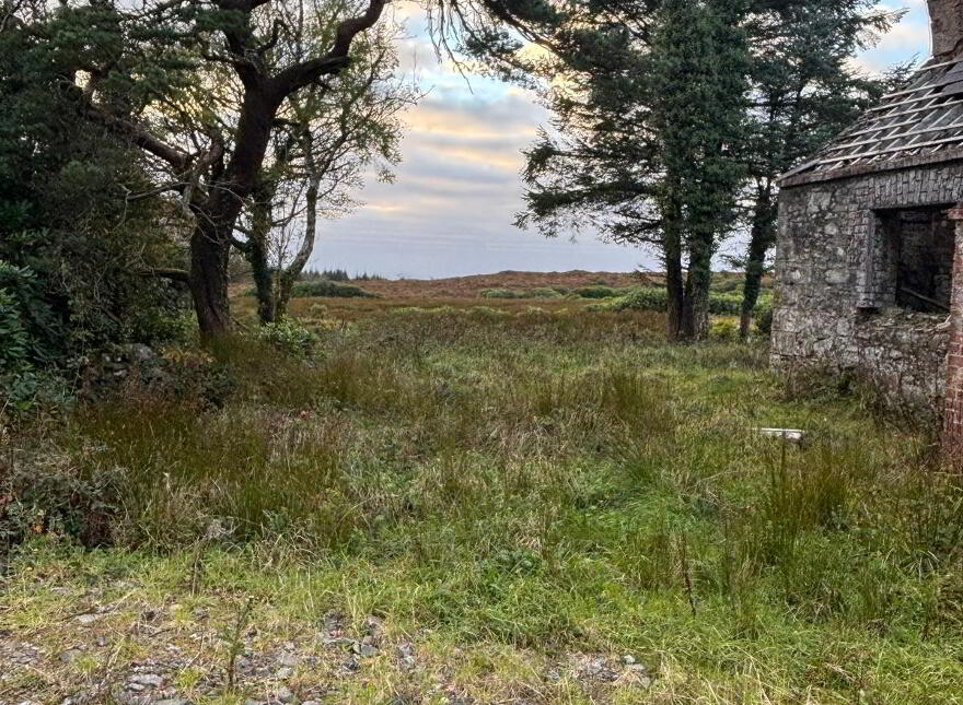 Meenshaffin, Pettigo
