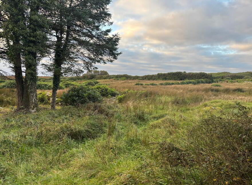 Meenshaffin, Pettigo