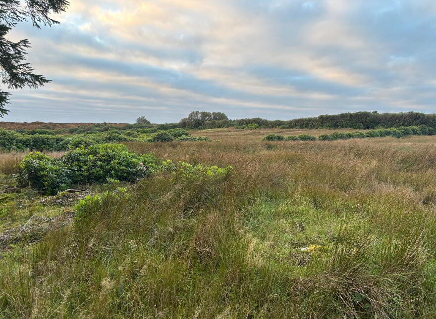 Meenshaffin, Pettigo