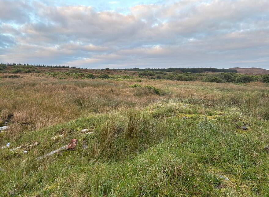 Meenshaffin, Pettigo