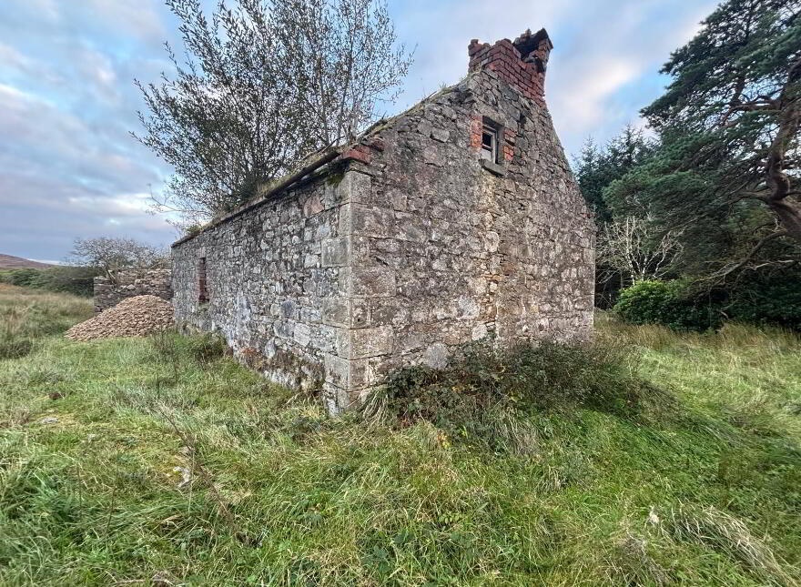 Meenshaffin, Pettigo
