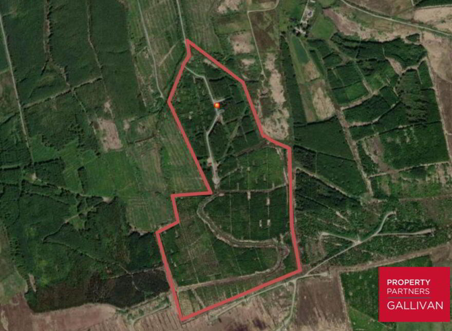 Forestry Land, Cappagh, Kilflynn