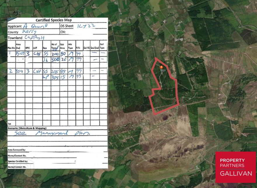 Forestry Land, Cappagh, Kilflynn