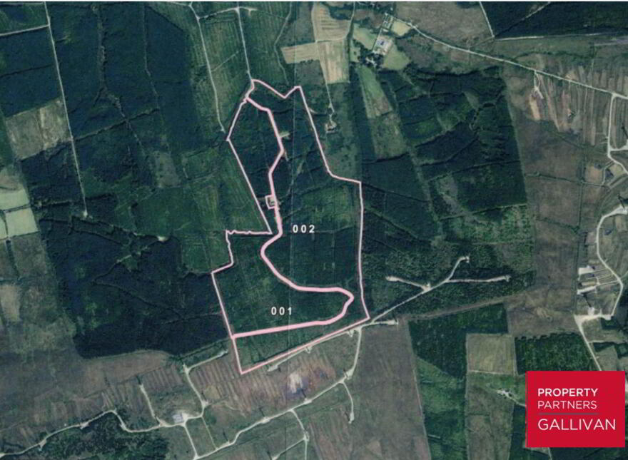 Forestry Land, Cappagh, Kilflynn