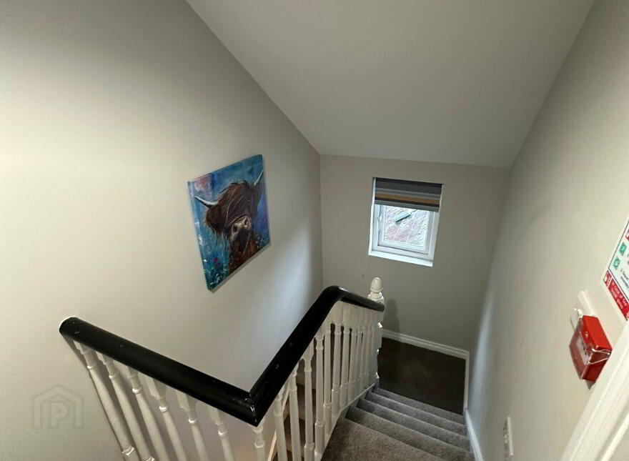 Room 3, 95 Enfield St, Belfast, BT13 3DJ