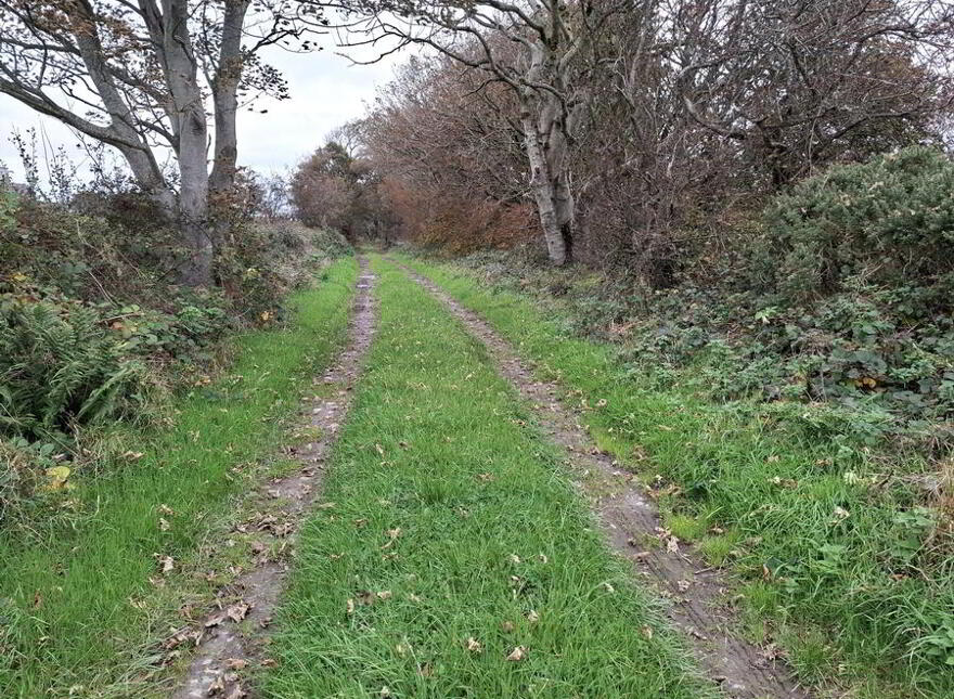 'The Parks', Carndonagh, F93E820