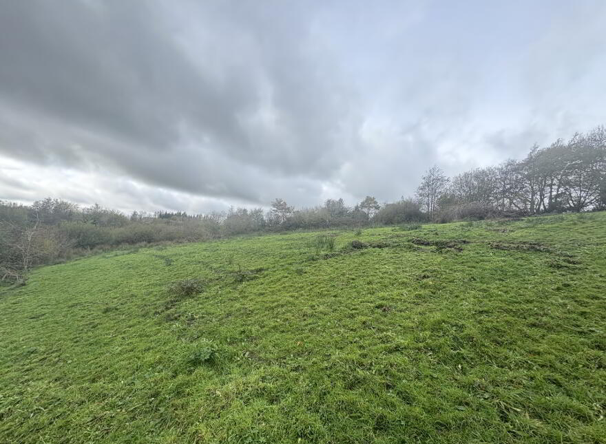 7 Knockavaddy Road, Rock, Dungannon, BT70 3JR