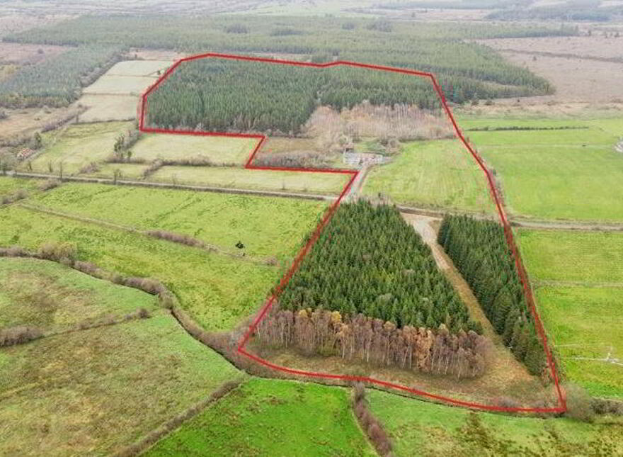 Ballinfhuill, Tibohine, F45KW31