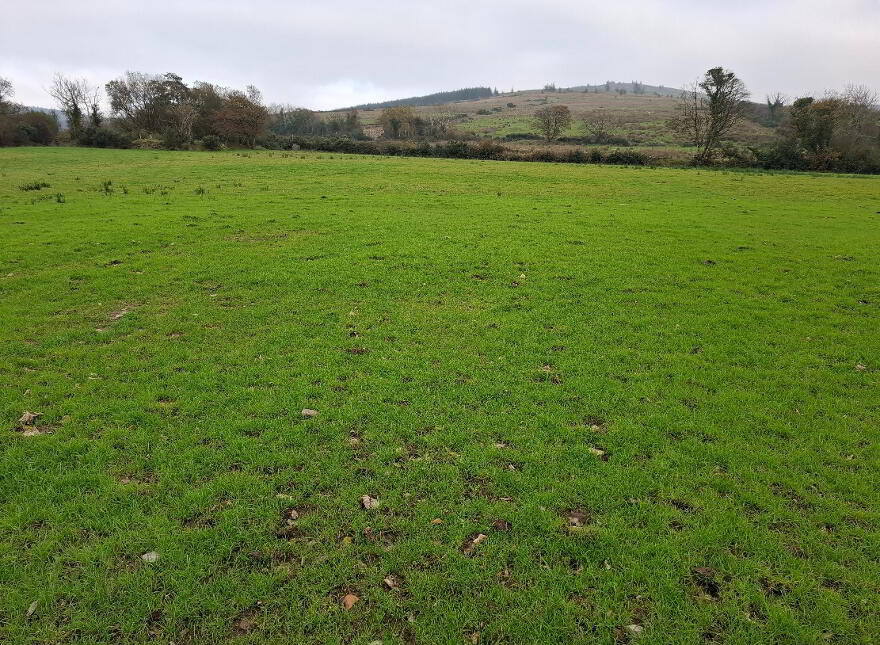 Rylagh Road, Omagh, BT79 7SY