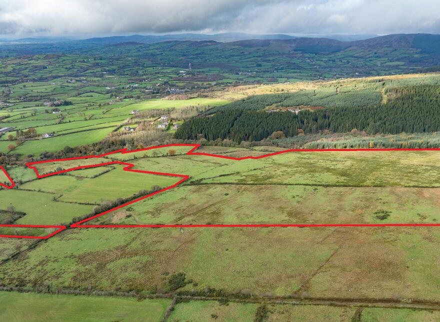 Rylagh Road, Omagh, BT79 7SY