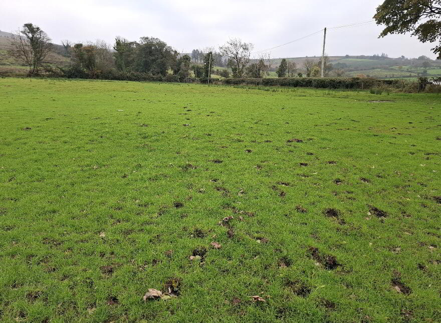 Rylagh Road, Omagh, BT79 7SY