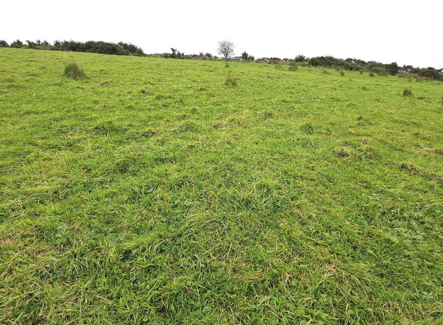 Rylagh Road, Omagh, BT79 7SY