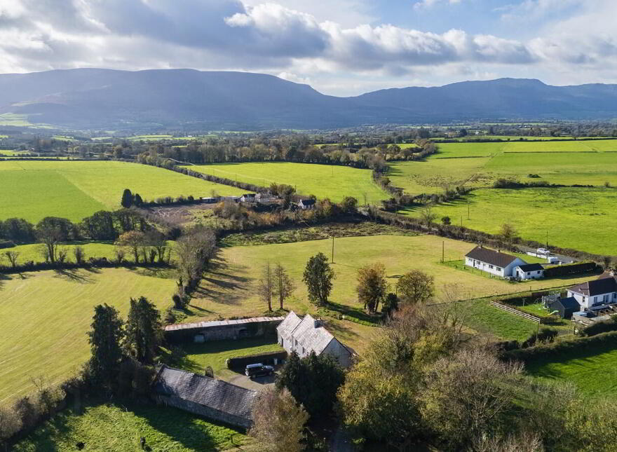 Ballygarret, Carrick On Suir, E32P799